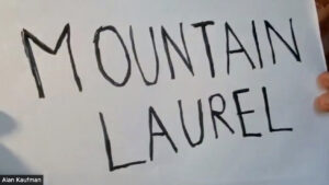 16 - Mountain Laurel